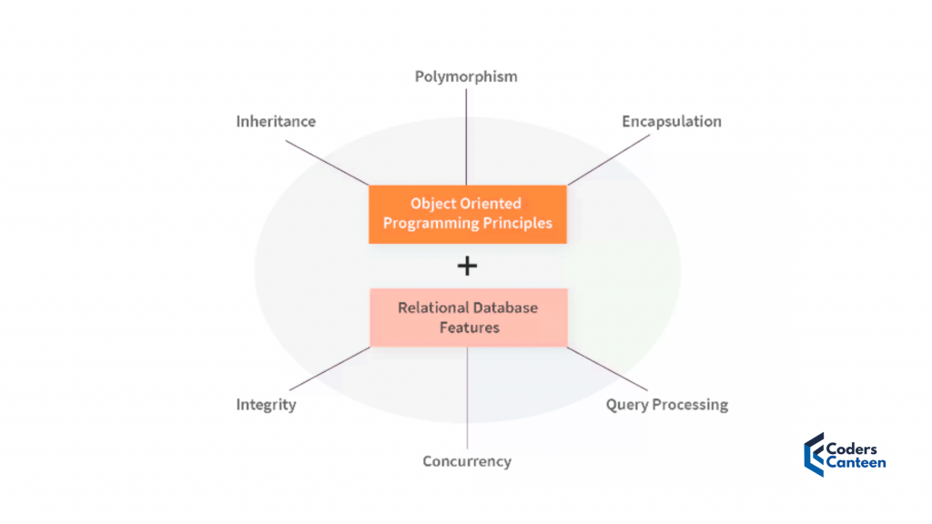 Object Oriented Database